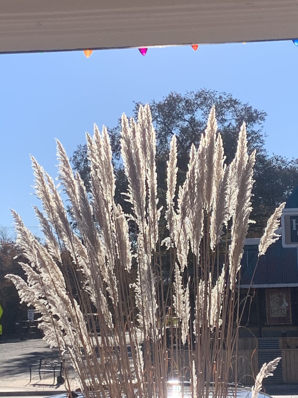 Community photo 3